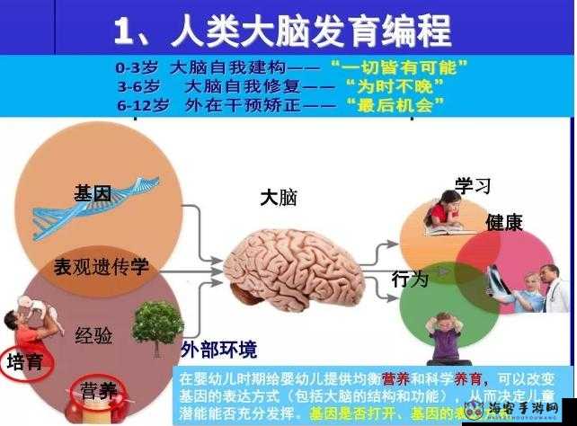 探索暴走武侠全角色成长之路：数据揭秘成长规律